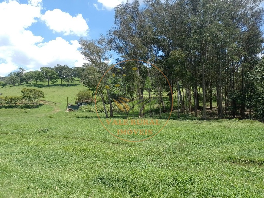 Fazenda à venda - Foto 1