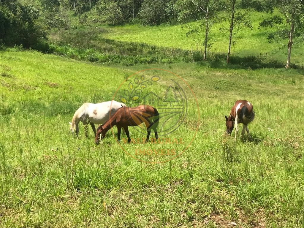 Fazenda à venda - Foto 7