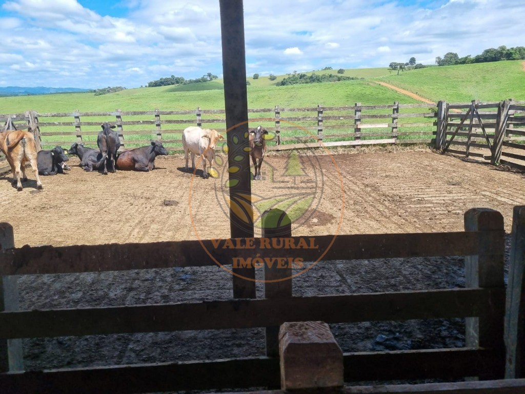 Fazenda à venda com 3 quartos - Foto 8