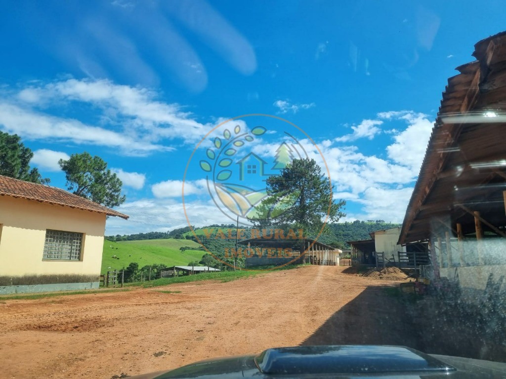 Fazenda à venda com 3 quartos - Foto 34