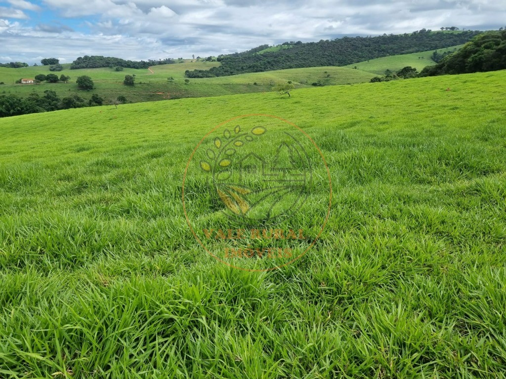 Fazenda à venda com 3 quartos - Foto 31