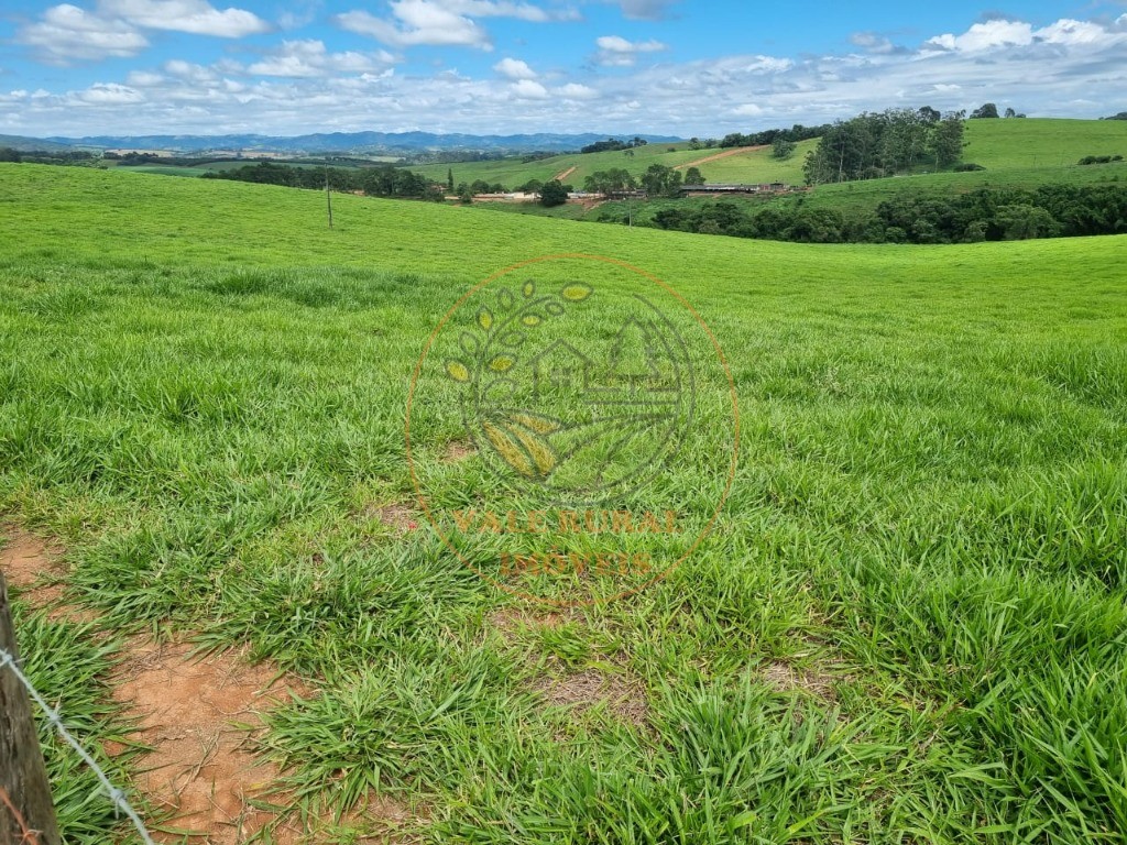 Fazenda à venda com 3 quartos - Foto 35