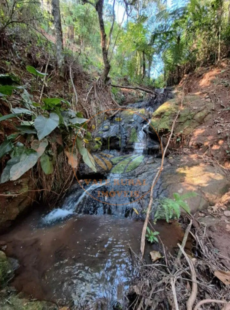 Haras e Área Rural Padrão à venda - Foto 11