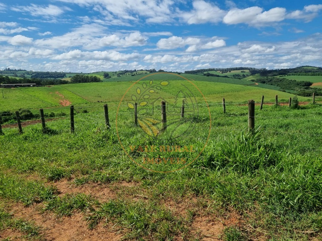 Fazenda à venda com 3 quartos - Foto 17