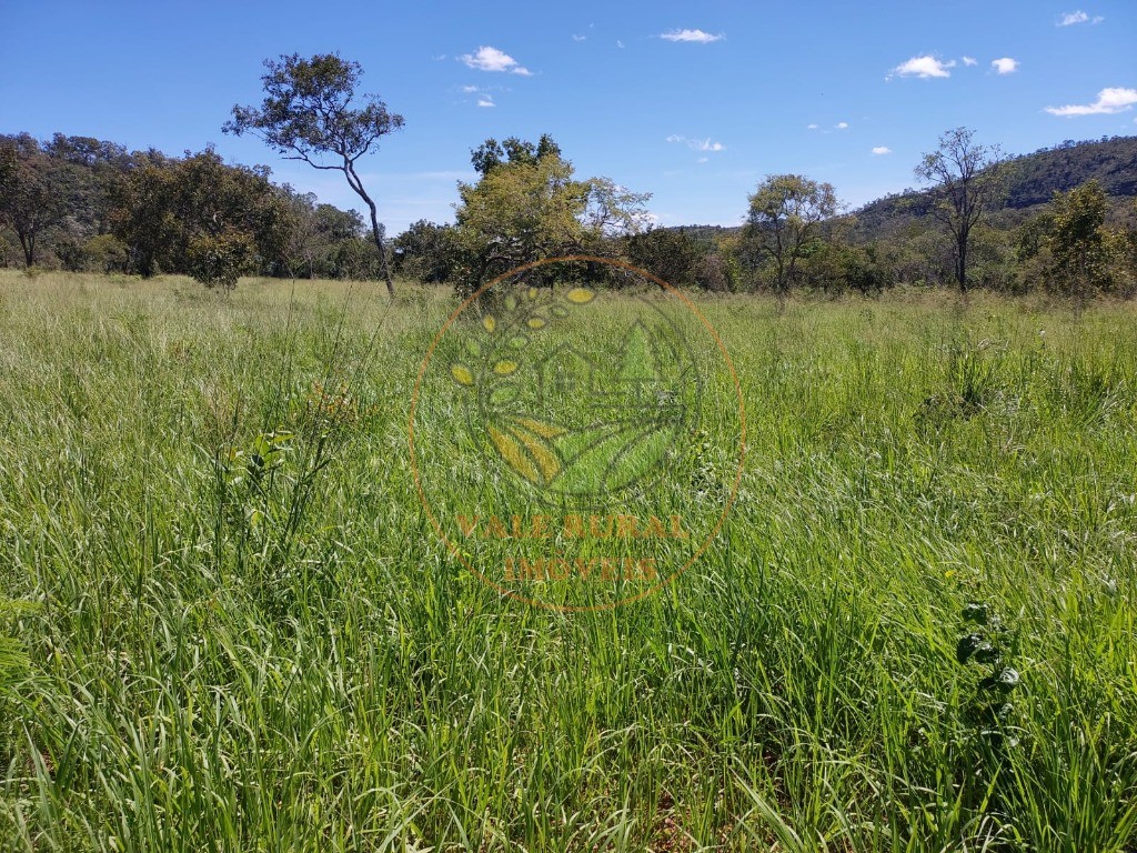 Fazenda à venda - Foto 3