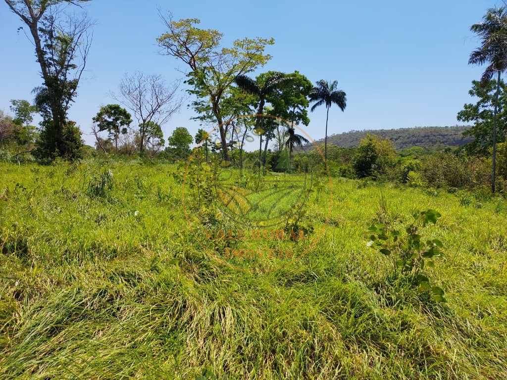 Fazenda à venda - Foto 6