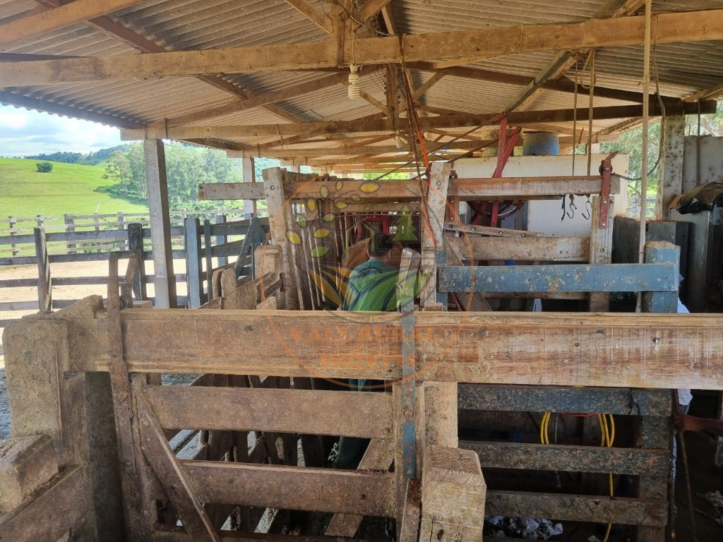 Fazenda à venda com 3 quartos - Foto 7