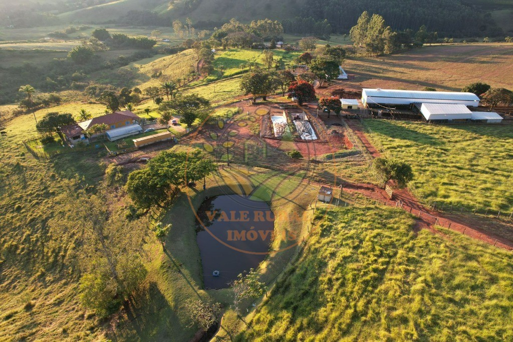 Fazenda à venda - Foto 6