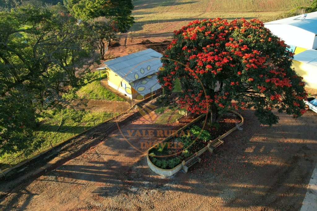 Fazenda à venda - Foto 16