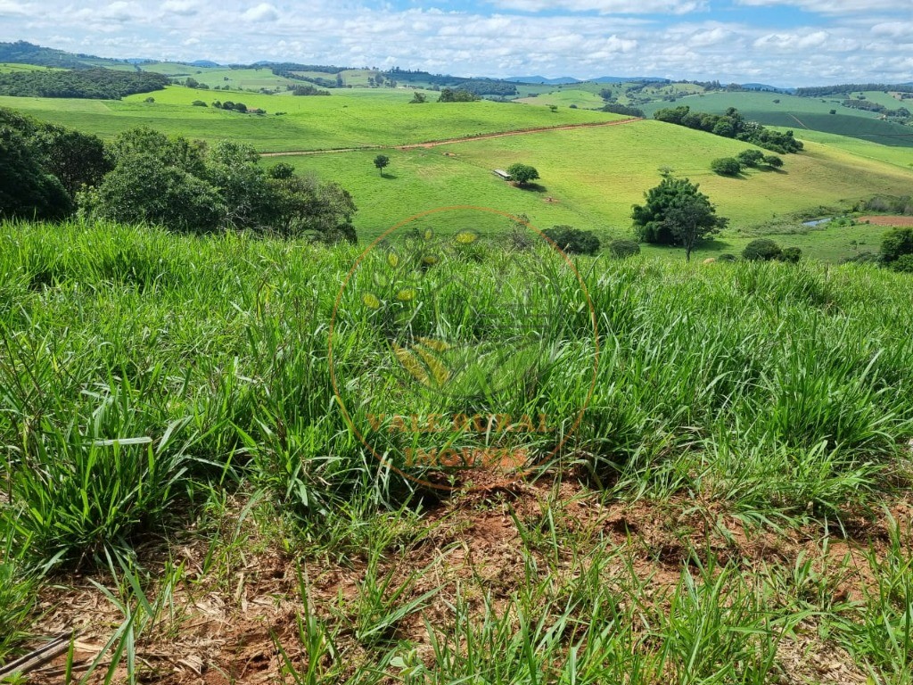 Fazenda à venda com 3 quartos - Foto 42