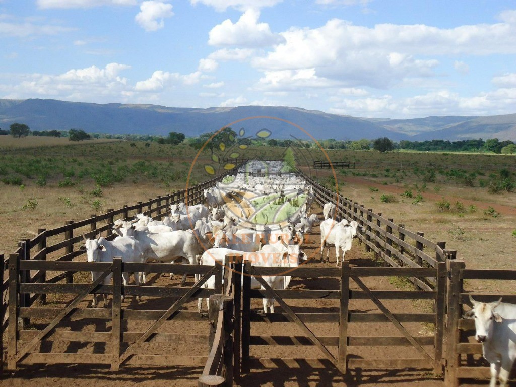 Fazenda à venda com 2 quartos - Foto 1