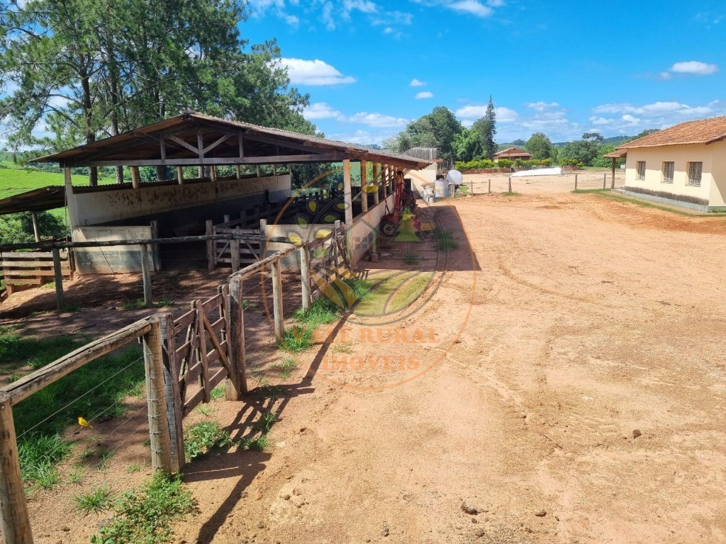 Fazenda à venda com 3 quartos - Foto 6