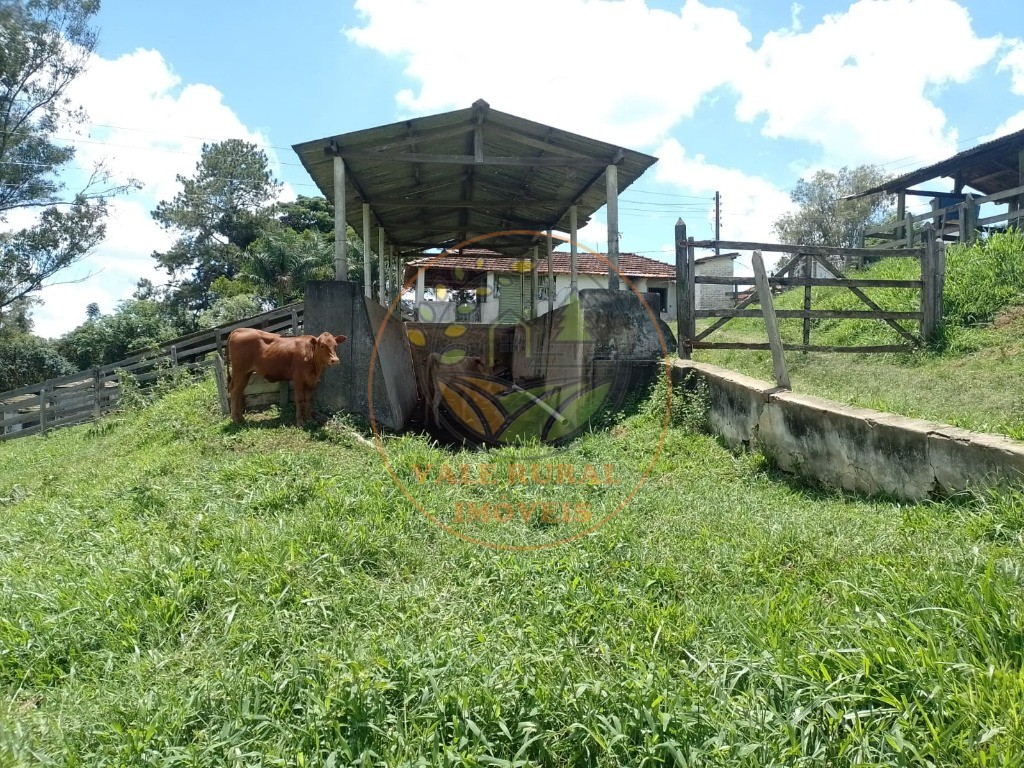 Fazenda à venda - Foto 13