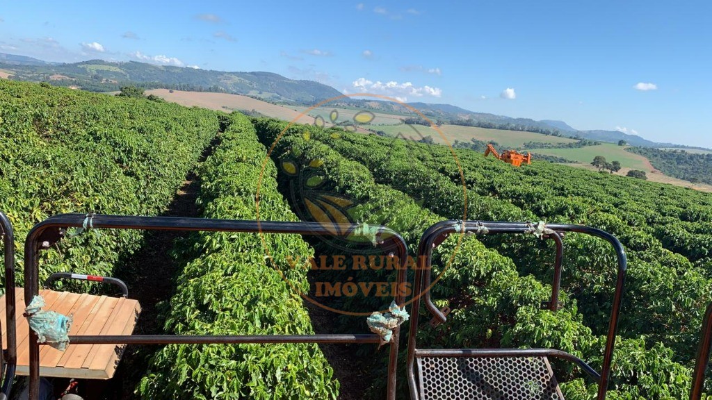 Fazenda à venda com 4 quartos - Foto 9