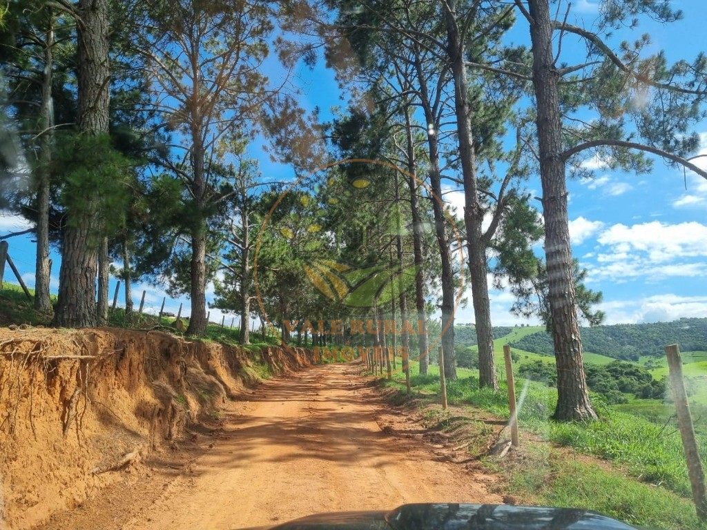 Fazenda à venda com 3 quartos - Foto 37