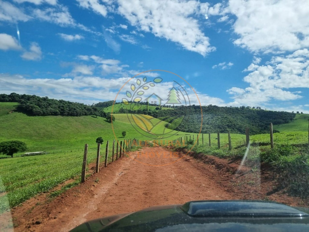 Fazenda à venda com 3 quartos - Foto 24