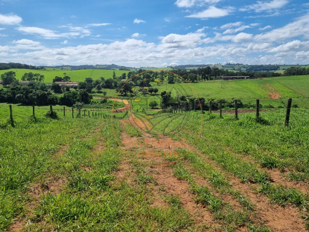 Fazenda à venda com 3 quartos - Foto 30