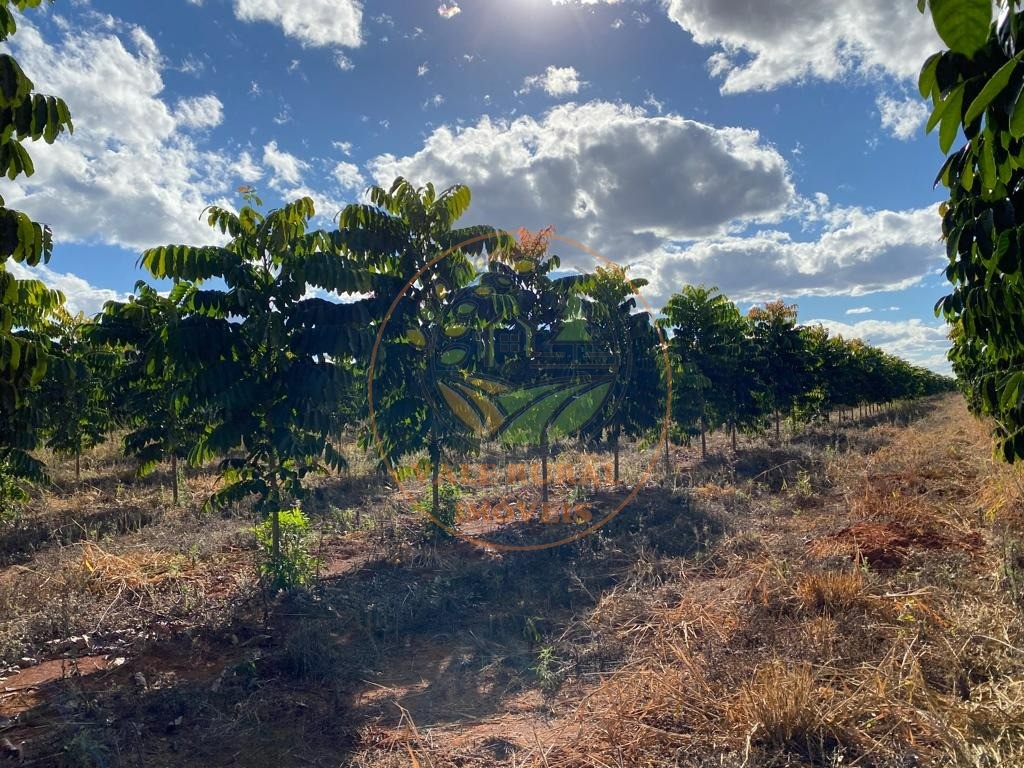 Fazenda à venda - Foto 11