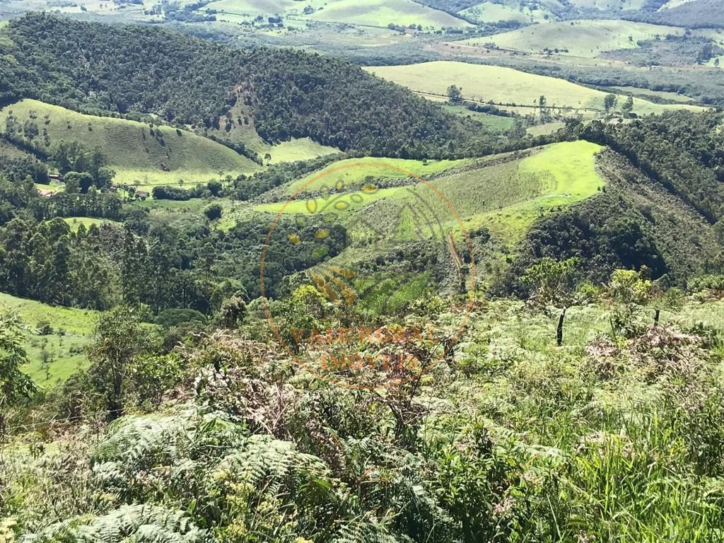 Fazenda à venda - Foto 17