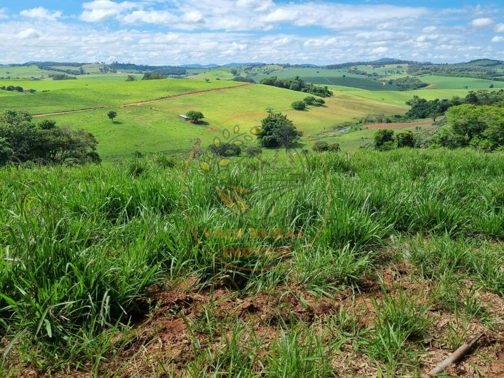 Fazenda à venda com 3 quartos - Foto 18