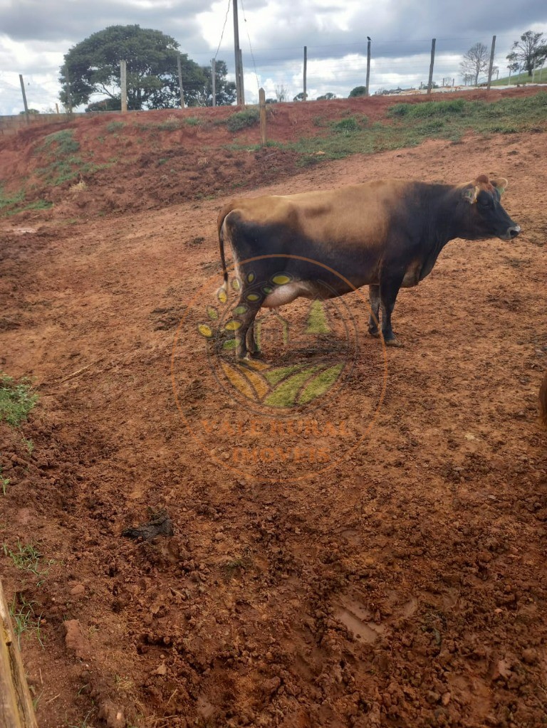 Fazenda à venda - Foto 35