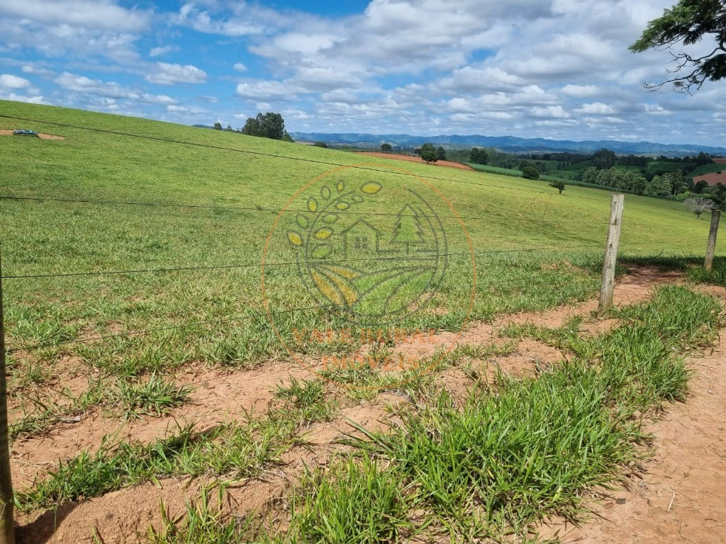 Fazenda à venda com 3 quartos - Foto 40