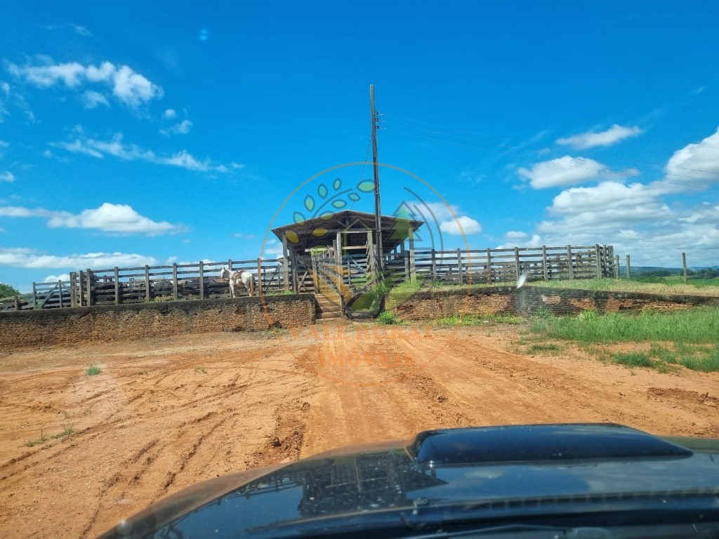 Fazenda à venda com 3 quartos - Foto 16