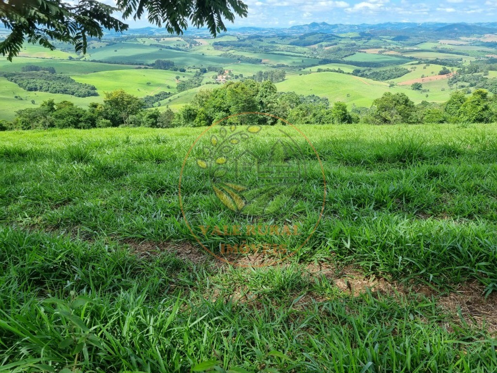 Fazenda à venda com 3 quartos - Foto 22