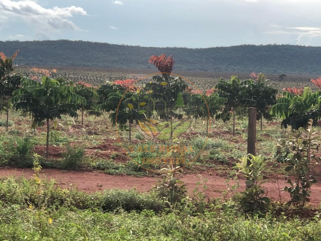 Fazenda à venda - Foto 8