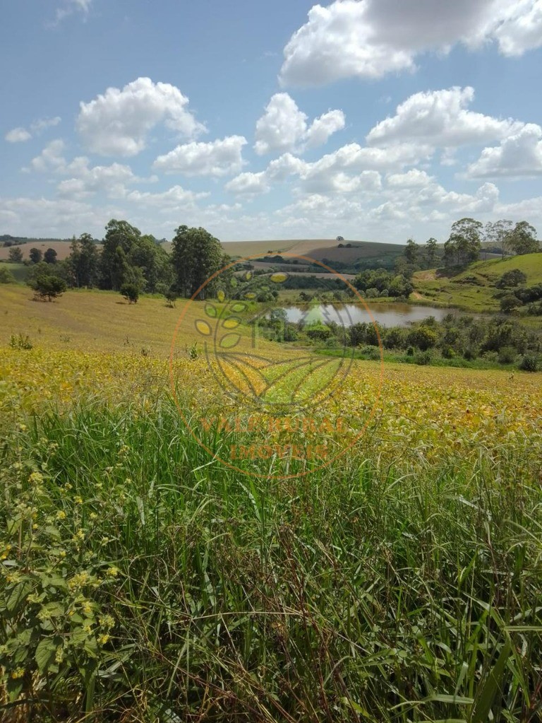 Fazenda à venda - Foto 13