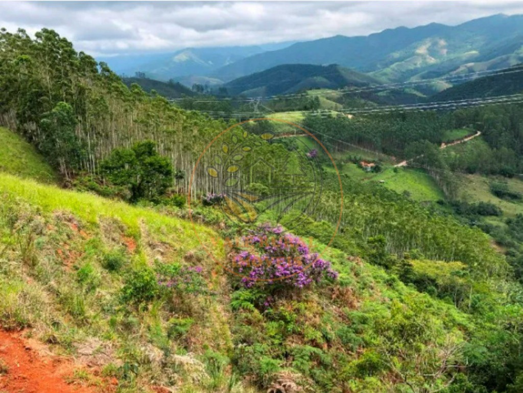 Haras e Área Rural Padrão à venda - Foto 6