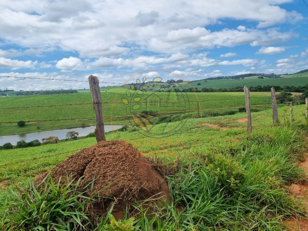 Fazenda à venda com 3 quartos - Foto 33