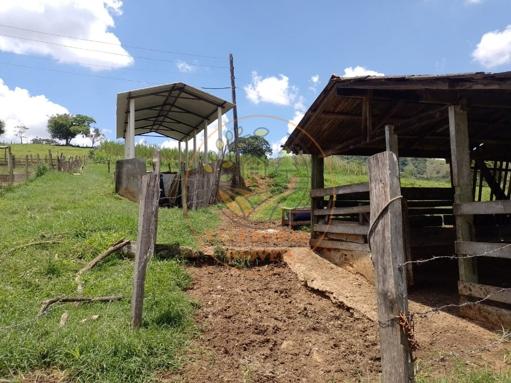 Fazenda à venda - Foto 4