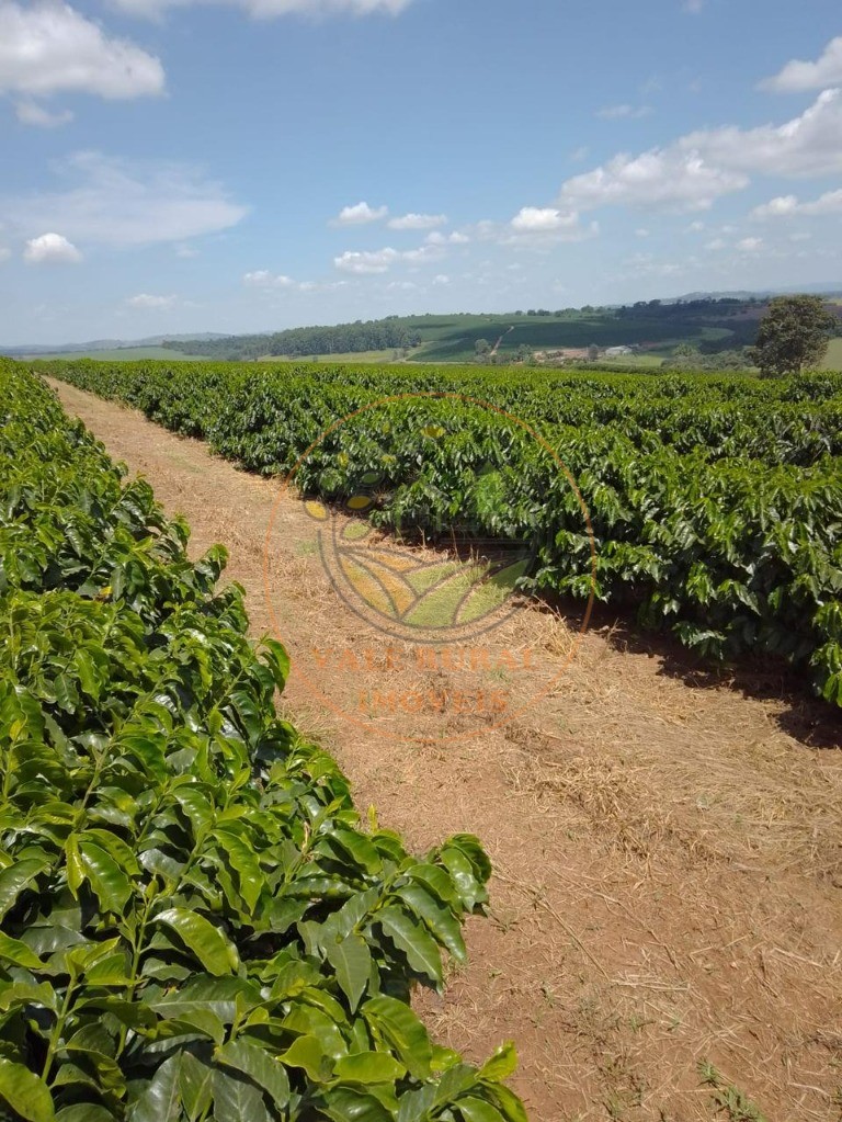 Fazenda à venda - Foto 6