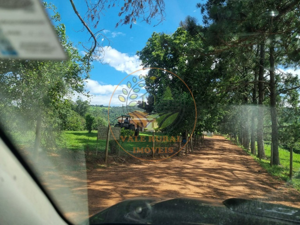 Fazenda à venda com 3 quartos - Foto 32