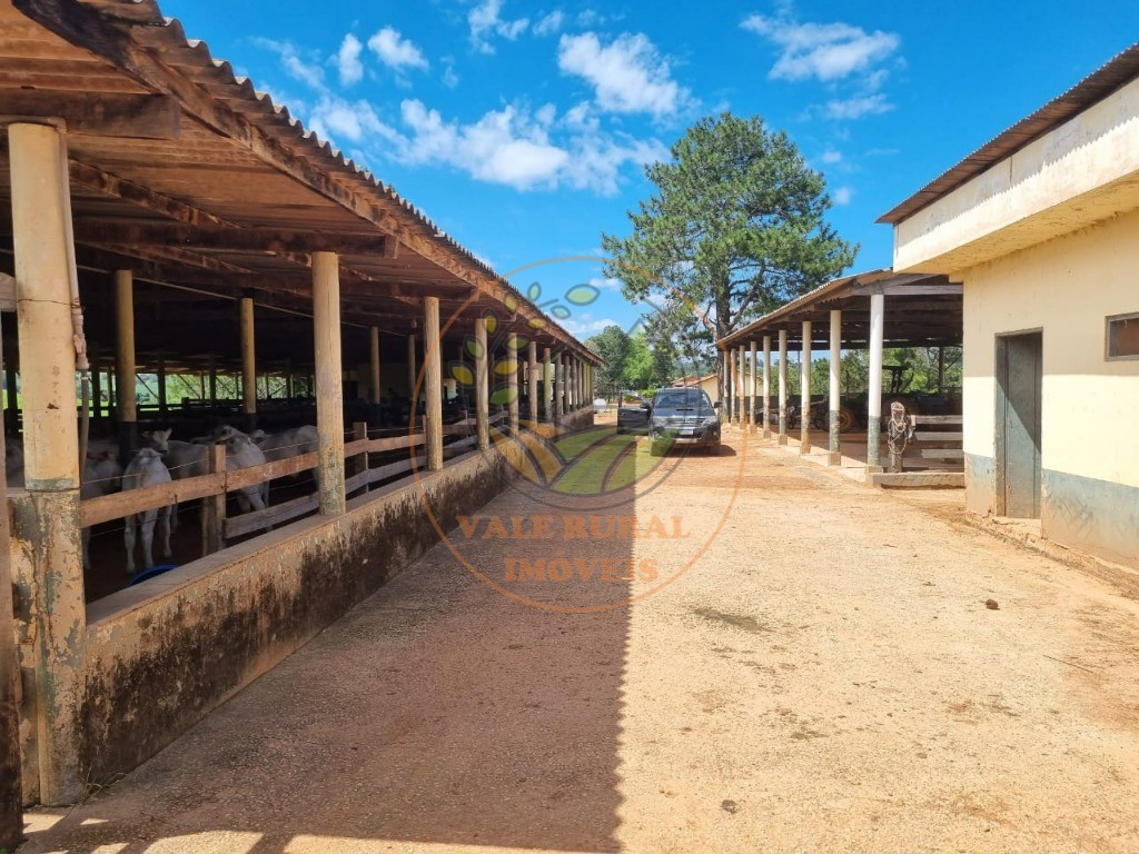 Fazenda à venda com 3 quartos - Foto 9