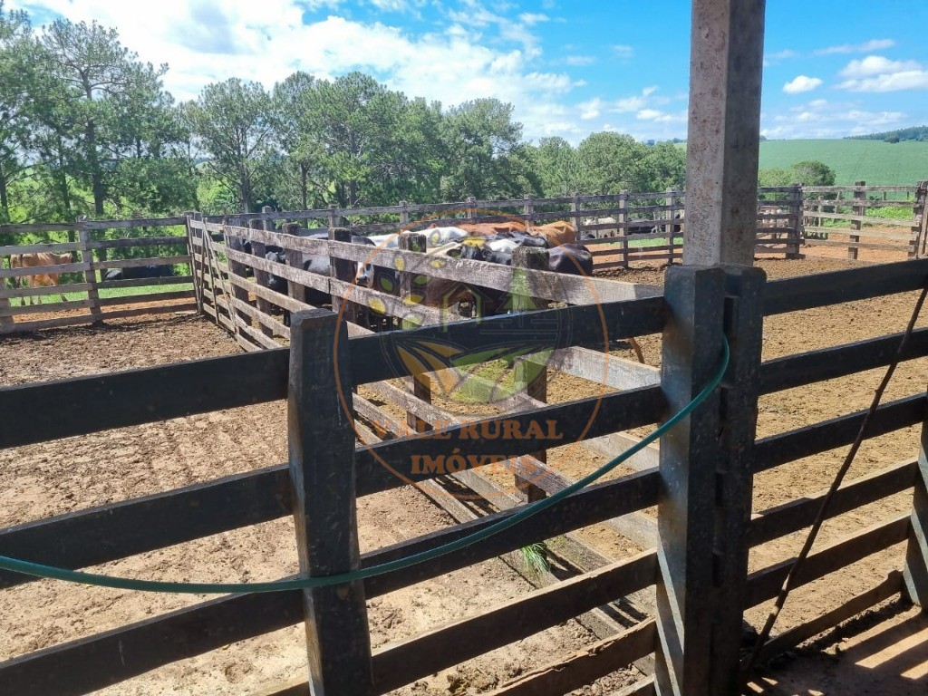 Fazenda à venda com 3 quartos - Foto 12