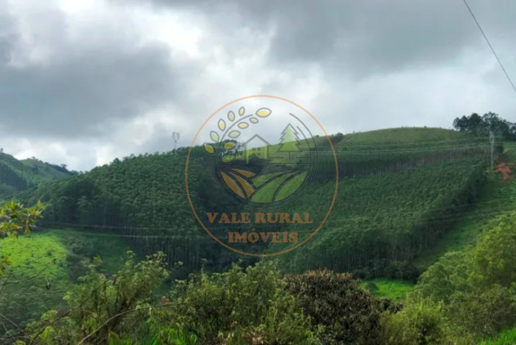 Haras e Área Rural Padrão à venda - Foto 4