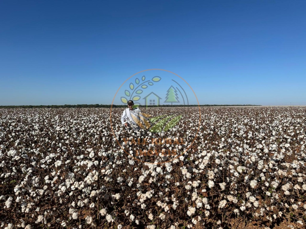 Fazenda à venda - Foto 8