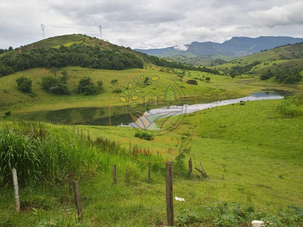 Fazenda à venda com 3 quartos - Foto 4