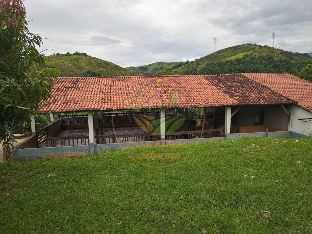 Fazenda à venda com 3 quartos - Foto 8