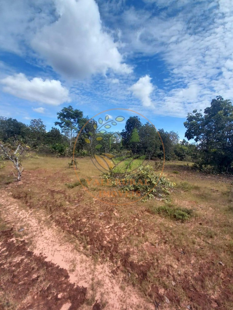 Fazenda à venda - Foto 7