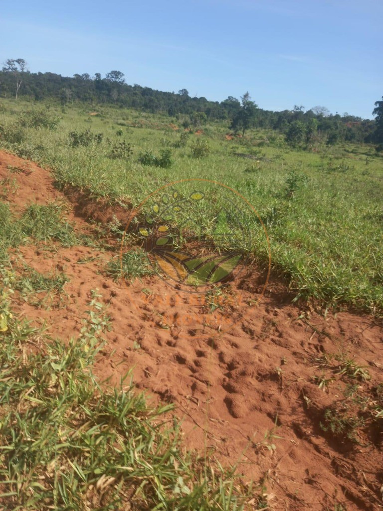 Fazenda à venda - Foto 1