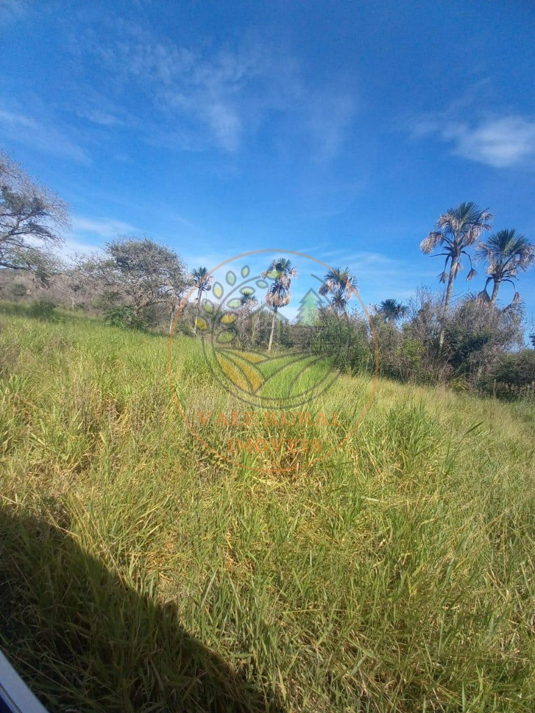 Fazenda à venda - Foto 19