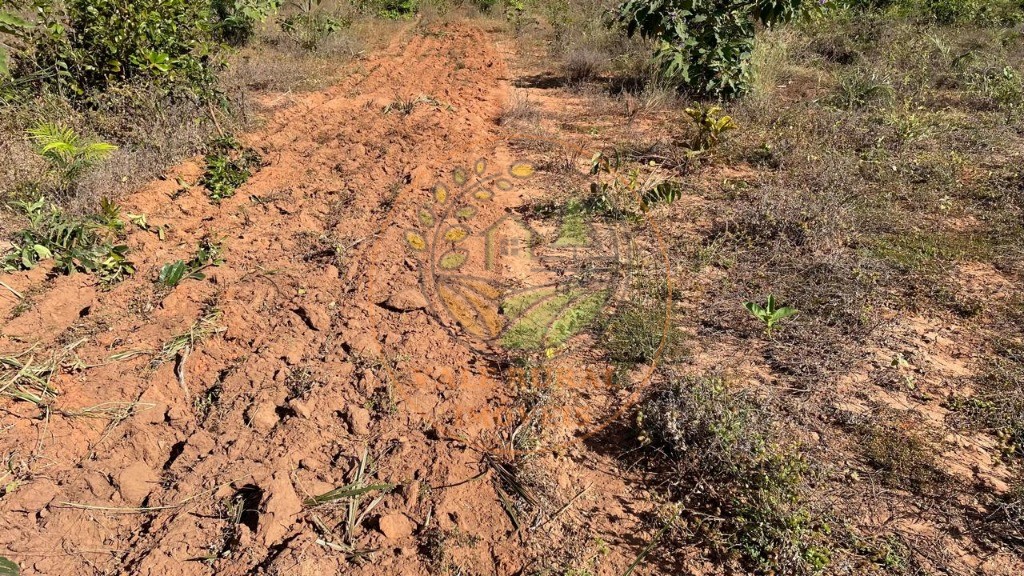 Fazenda à venda - Foto 7