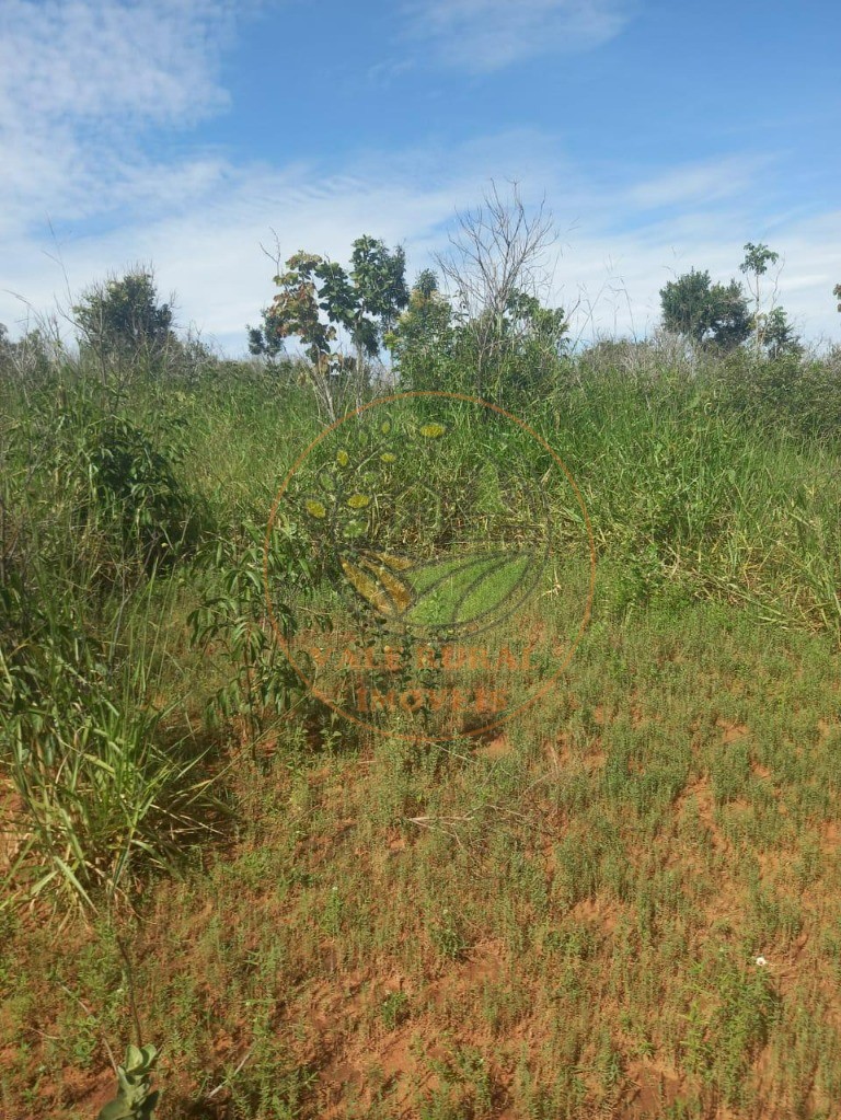 Fazenda à venda - Foto 20