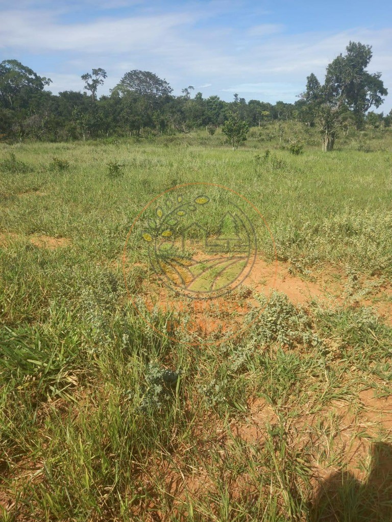 Fazenda à venda - Foto 12