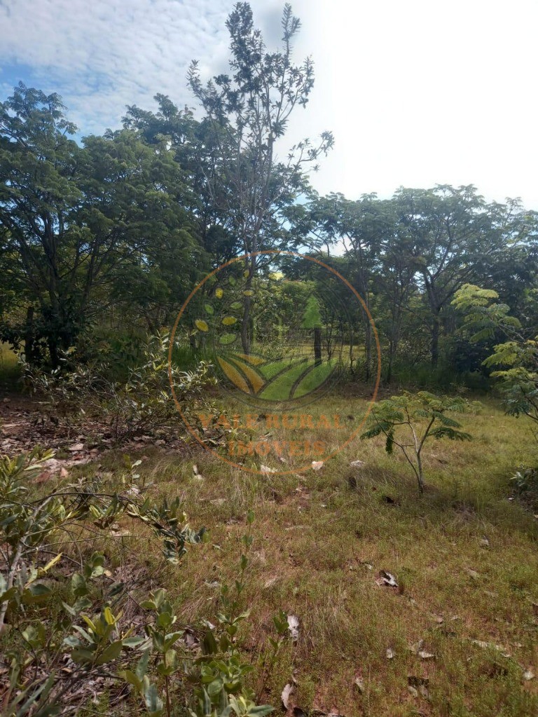 Fazenda à venda - Foto 9