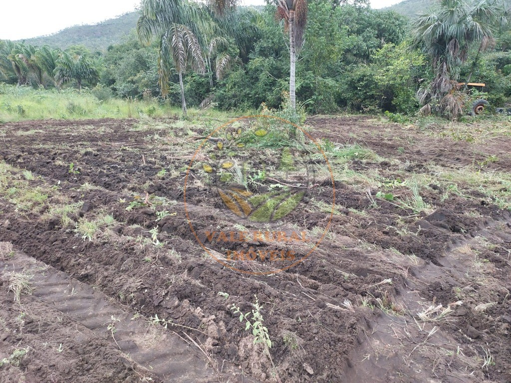 Fazenda à venda - Foto 9