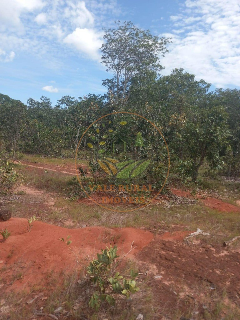 Fazenda à venda - Foto 4